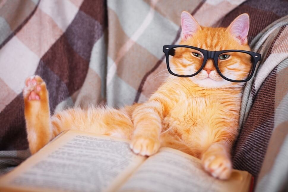(Изображение кредитное: Shutterstock)