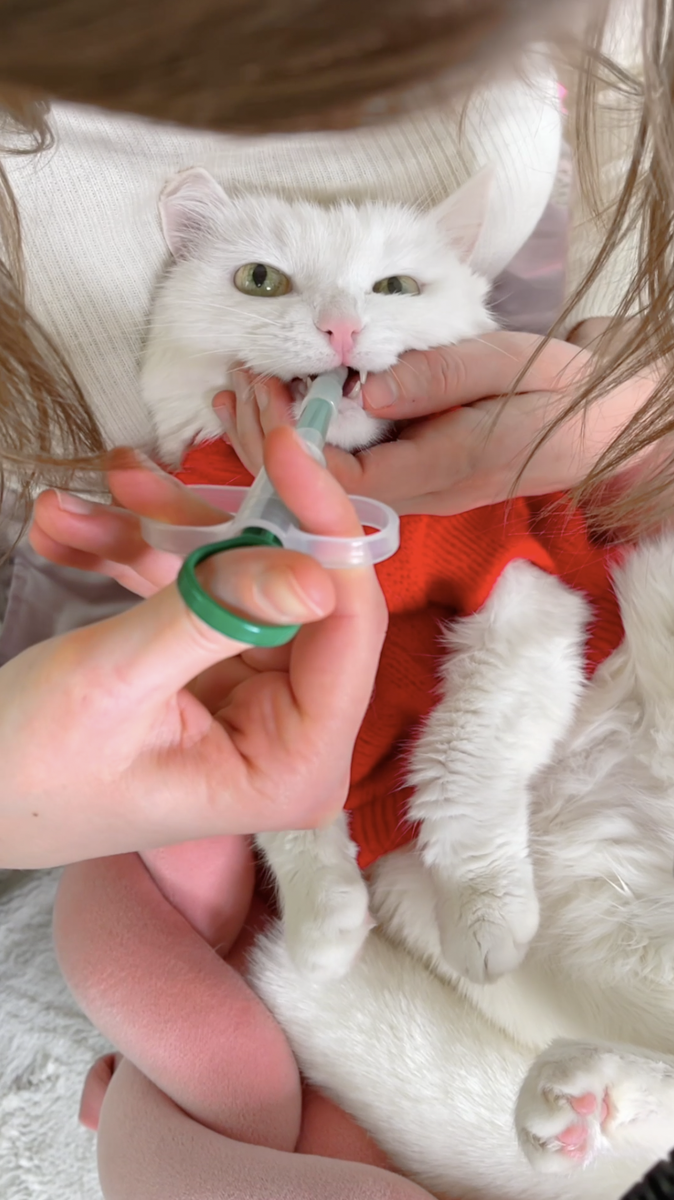 Никак мучений и предательств! 