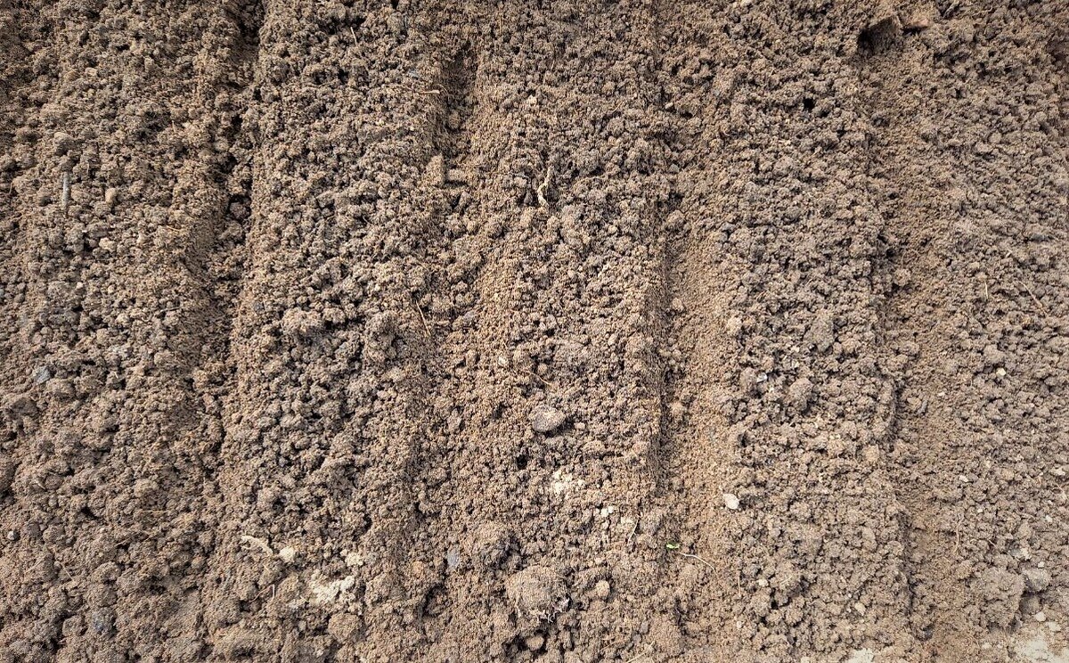 Бороздки для посадки капусты