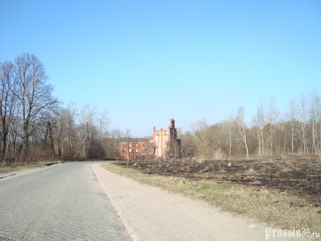 Погода корнево калининградская область