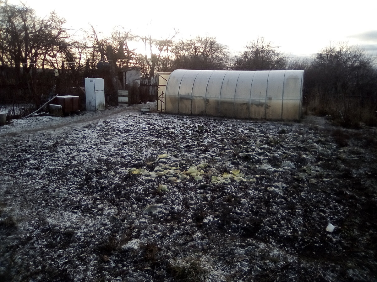 Огород, слева за тропинкой (их не видно) кусты малины, смородины, за теплицей забор и калитка в сад, туда ведет тропинка. Справа тоже забор, за которым картофельное поле. Все деревья-это яблони, вишни, груши и сливы.