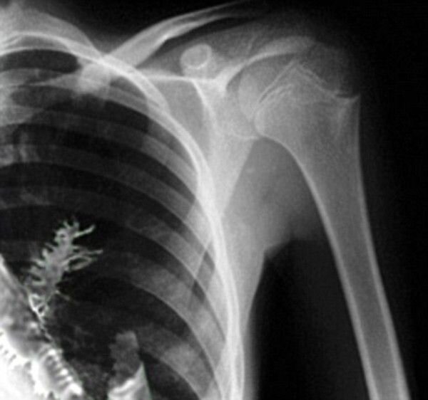 Источник "Яндекс картинки"