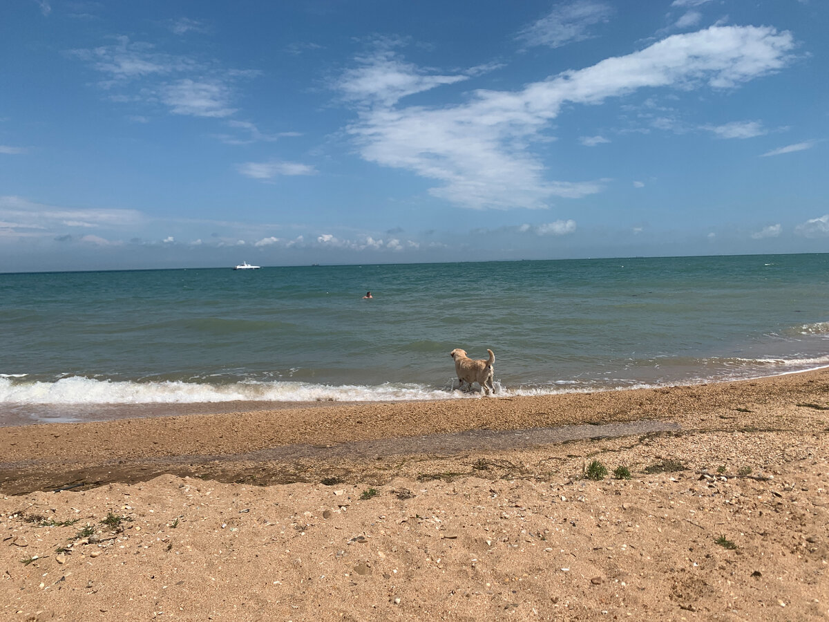 Крым, Керчь