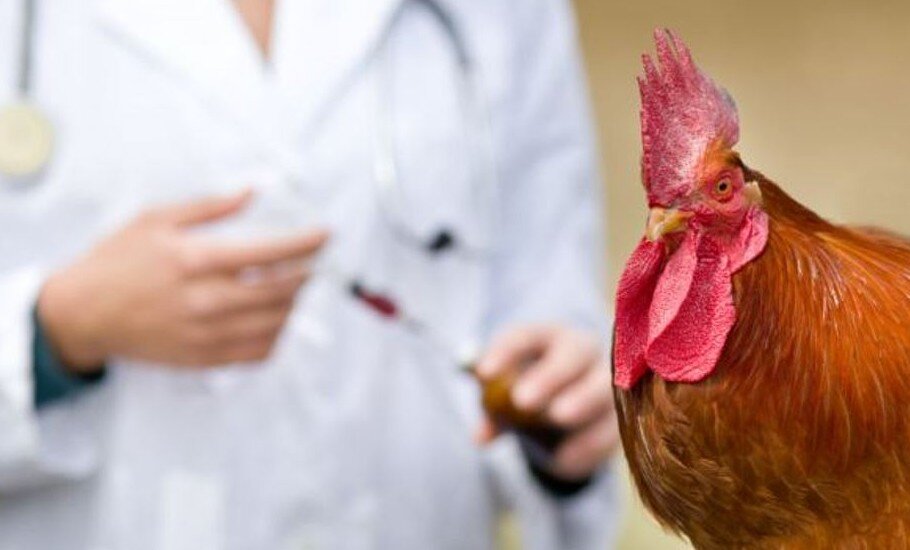 Ставьте лайк, если вам понравилась публикация. Подписывайтесь на канал и будьте в курсе отраслевых событий.