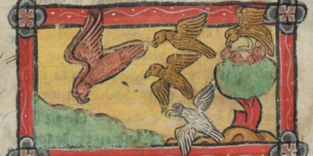 Изображение: Bibliothèque de l’Arsenal📷
