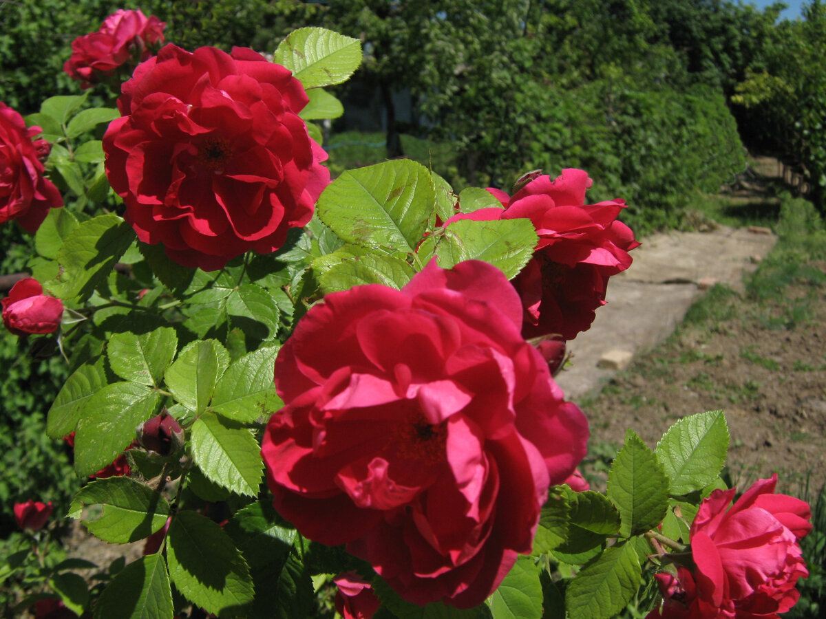 личное фото