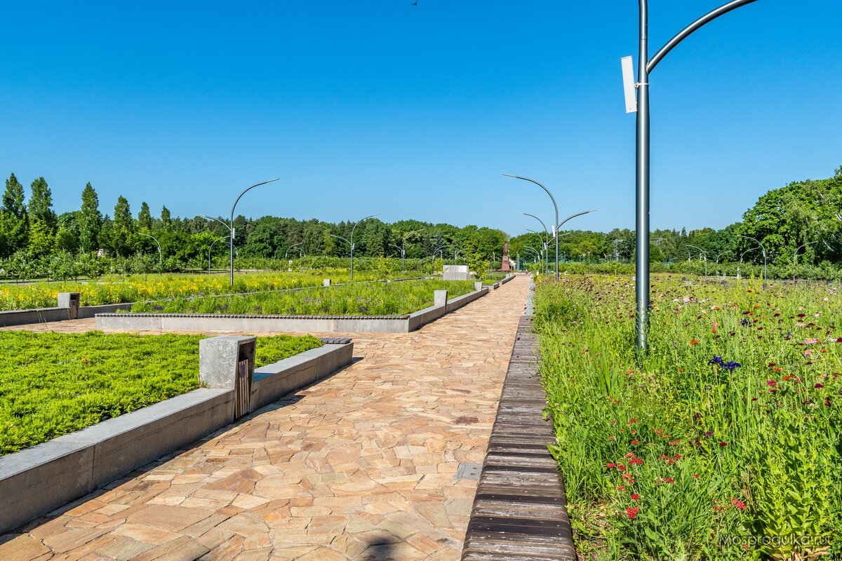 Поля Кандинского