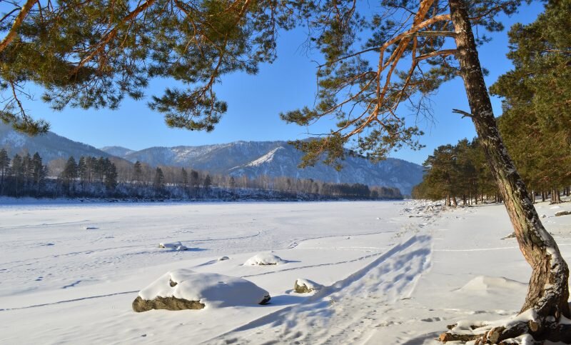 река Лебедь подо льдом. Алтай