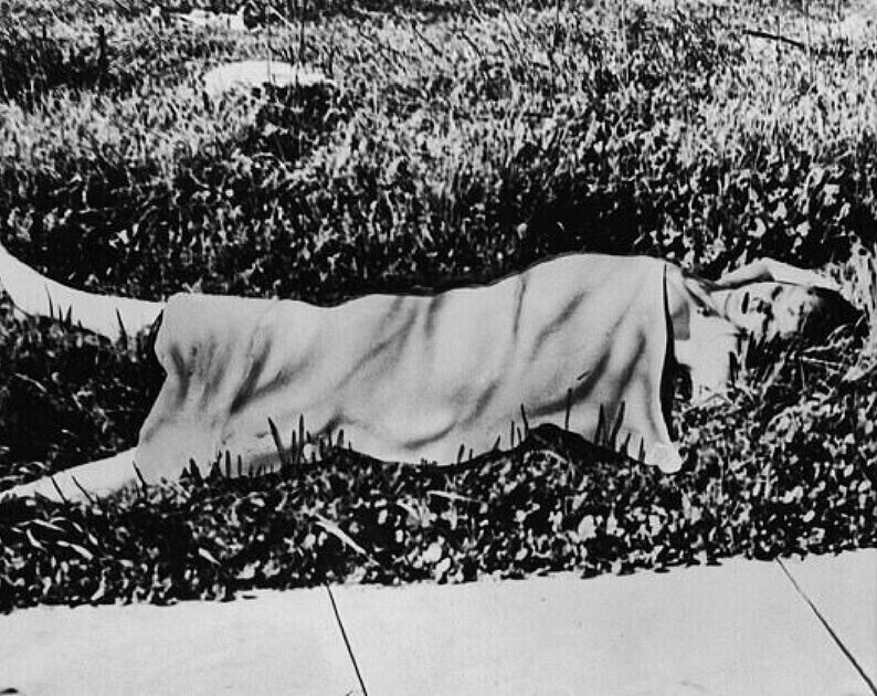 Тело Элизабет