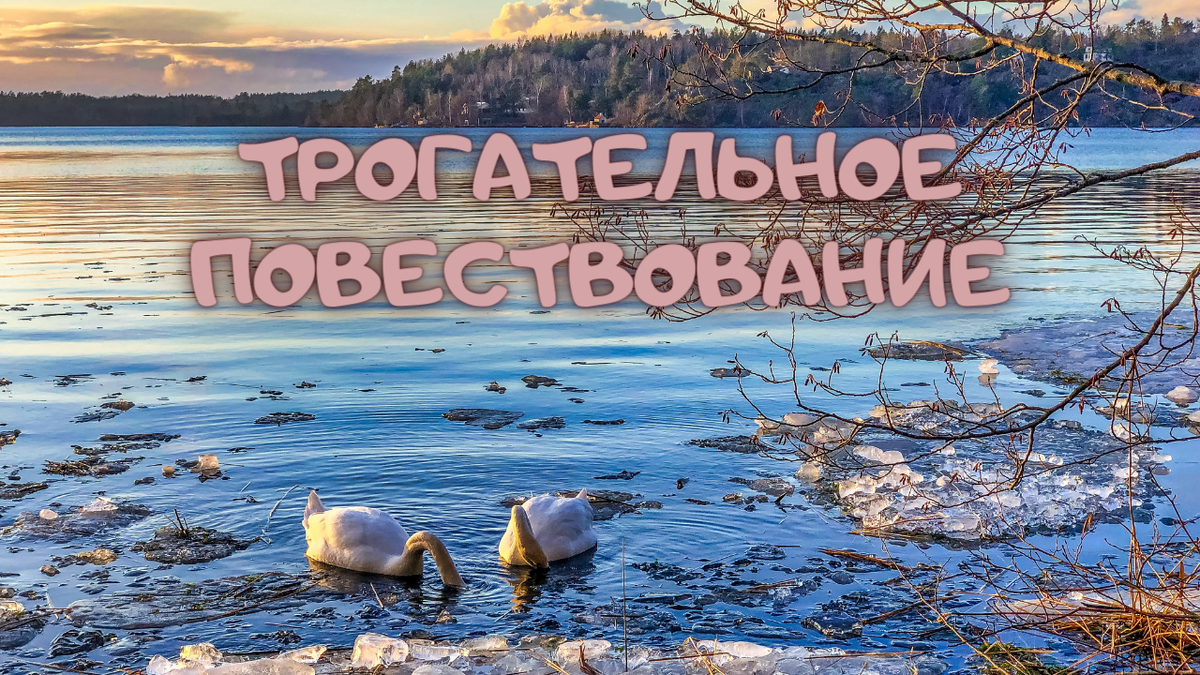 Фотограф: Nextvoyage: https://www.pexels.com/ru-ru/photo/3779783/