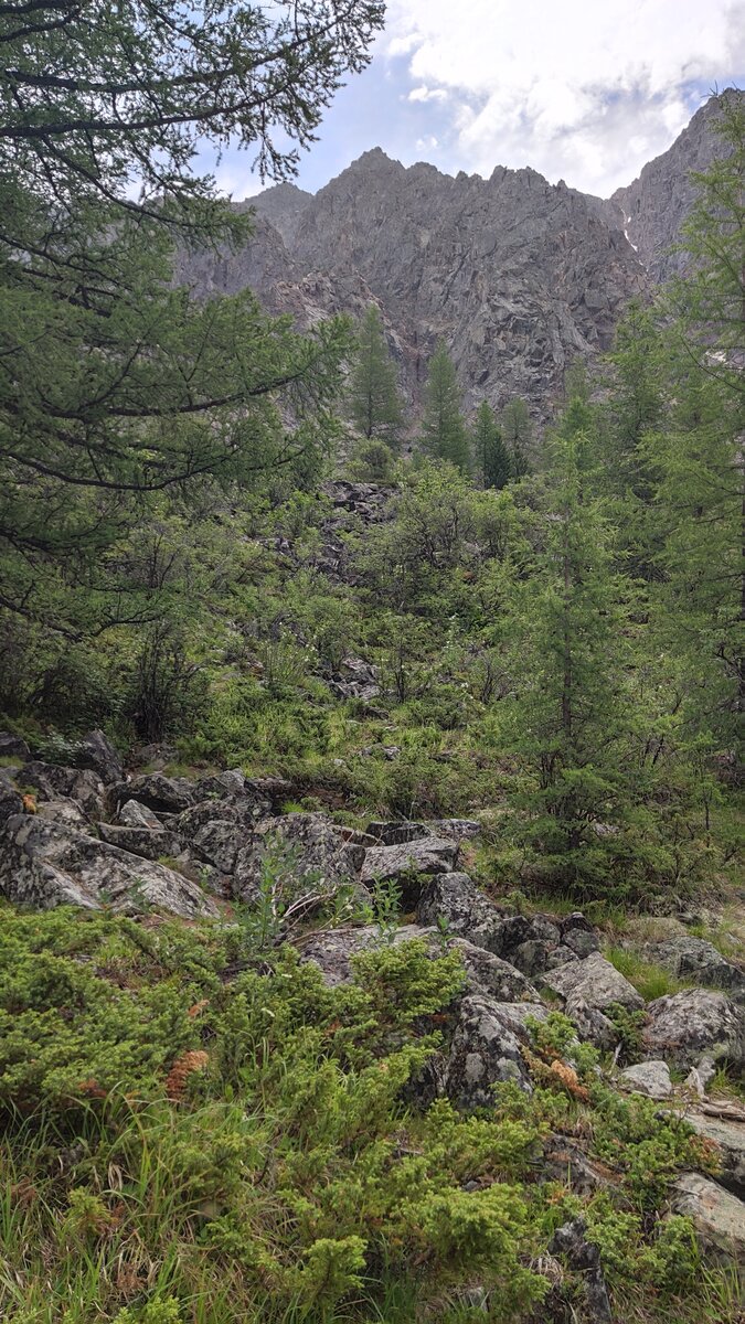 Долина гномов