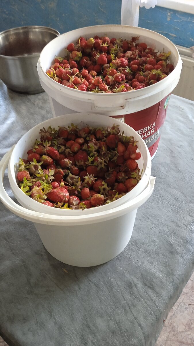 Позавчера собирали. 