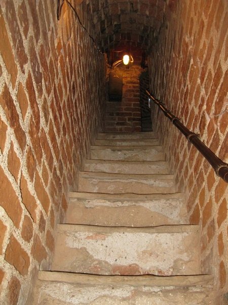 Яндекс-фото, ссылка - https://clck.ru/sMgaW