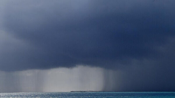    Фото: sochi.ru