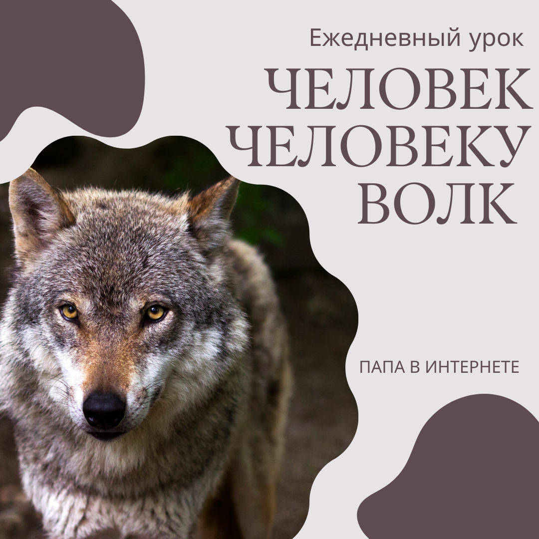 Человек человеку волк. Человек человеку волк плакат. Человек волк книга. Человек человеку волк книга.