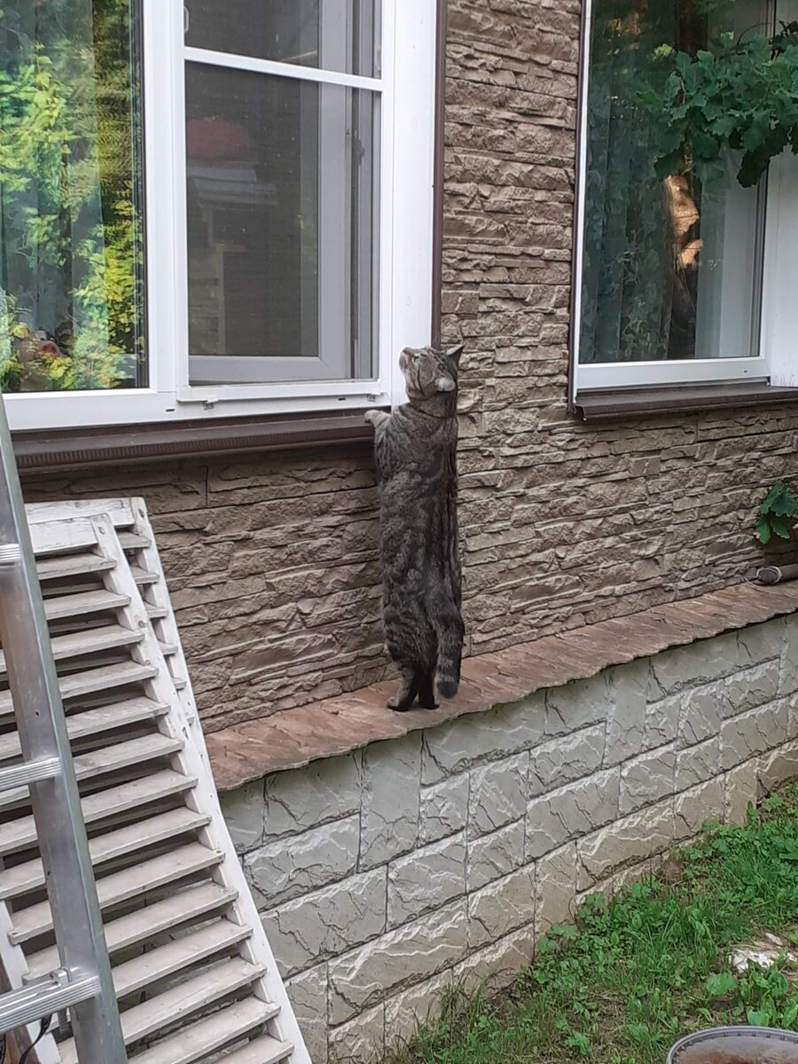 Мой любимый Бандик