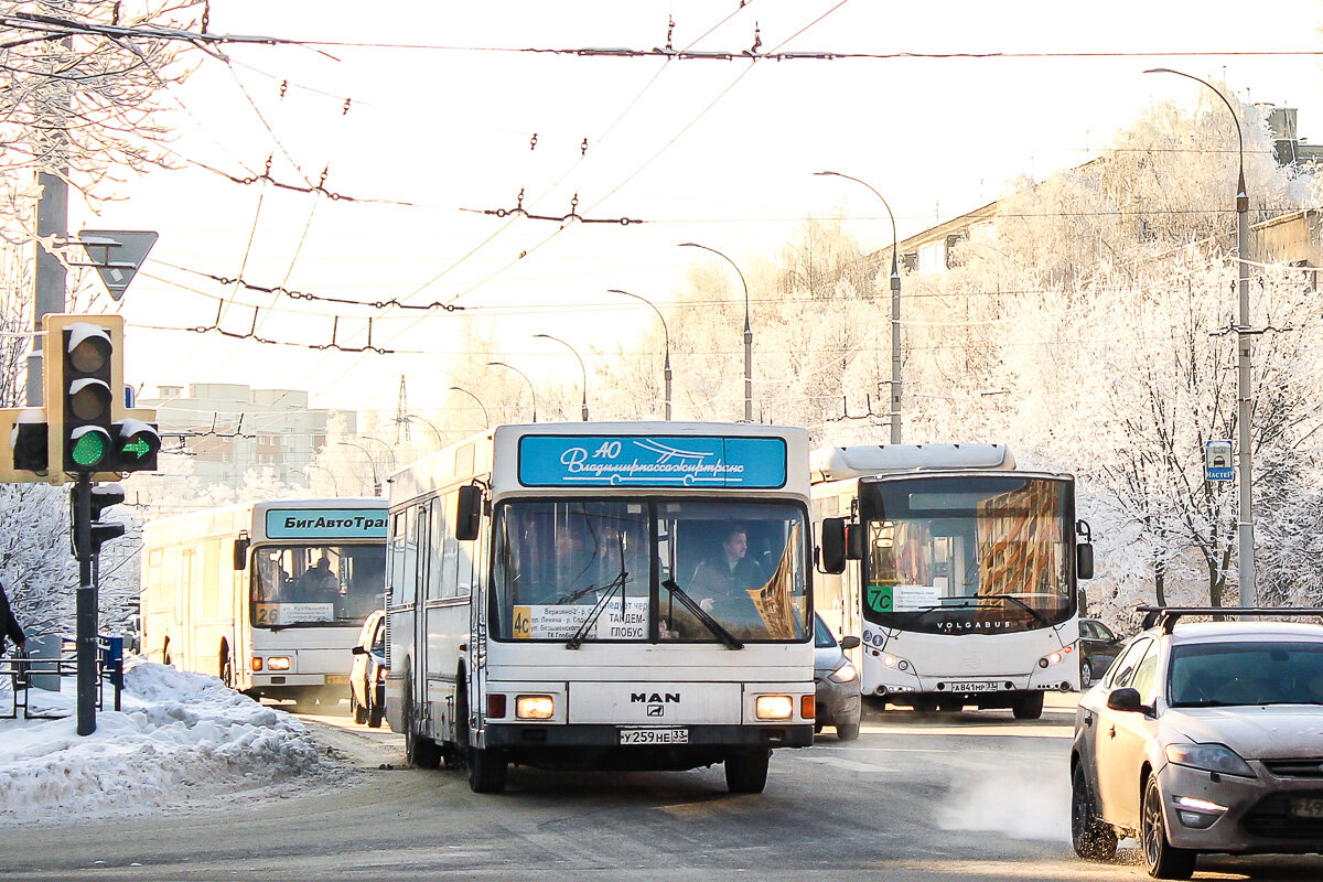 Автобус 531 гатчина. Автобус 531.