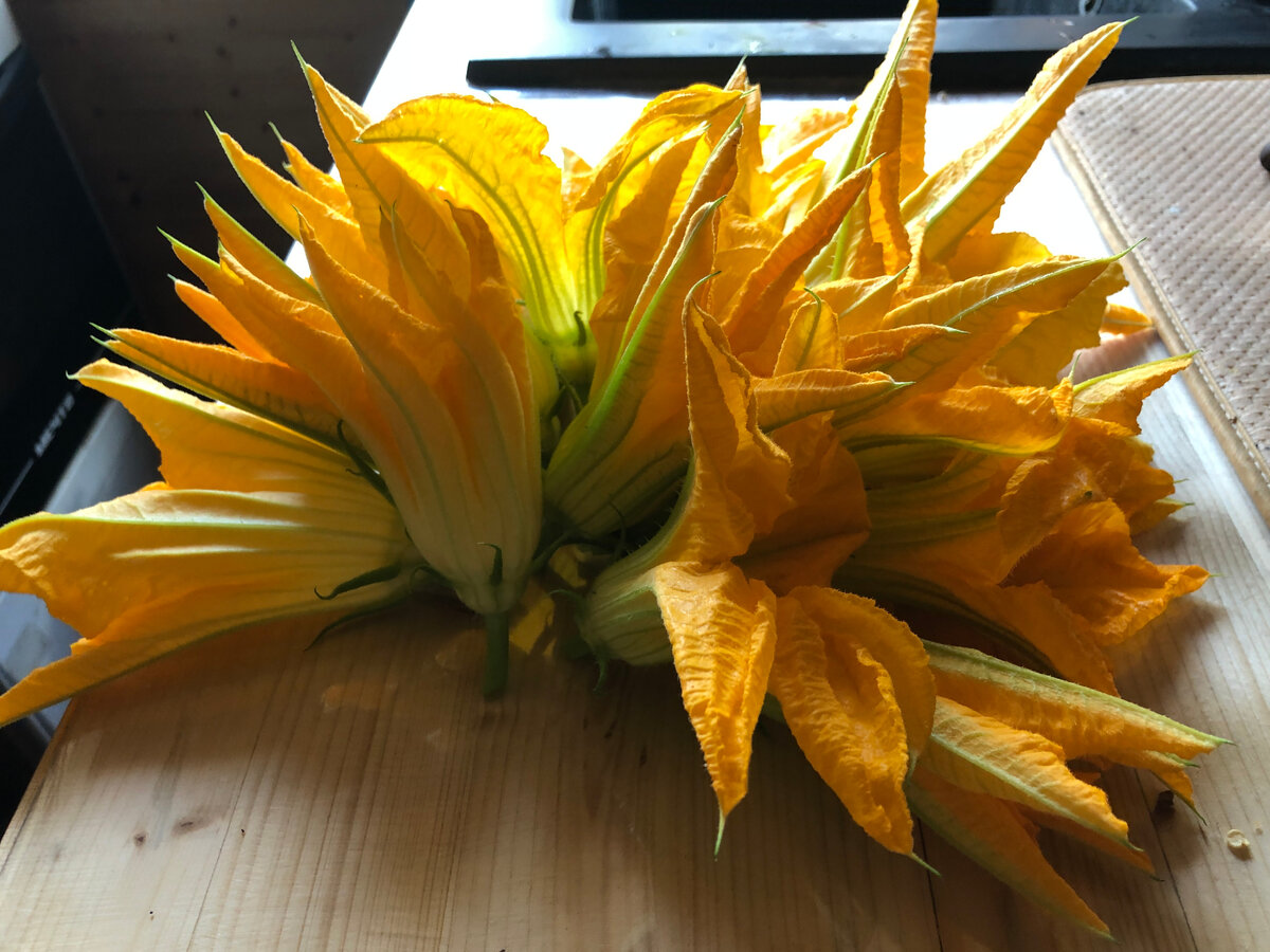 Подготовленные цветки кабачка ...