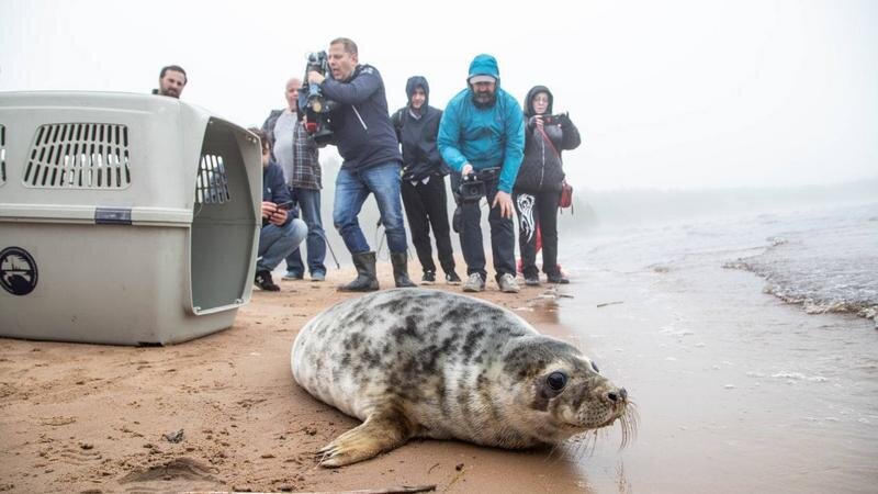    Фото: ГУП «Водоканал Санкт-Петербурга»