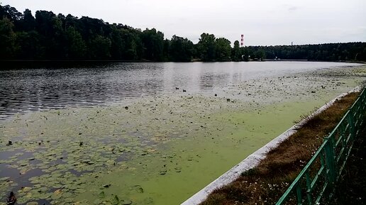 Московские любители - Релевантные порно видео (7458 видео)