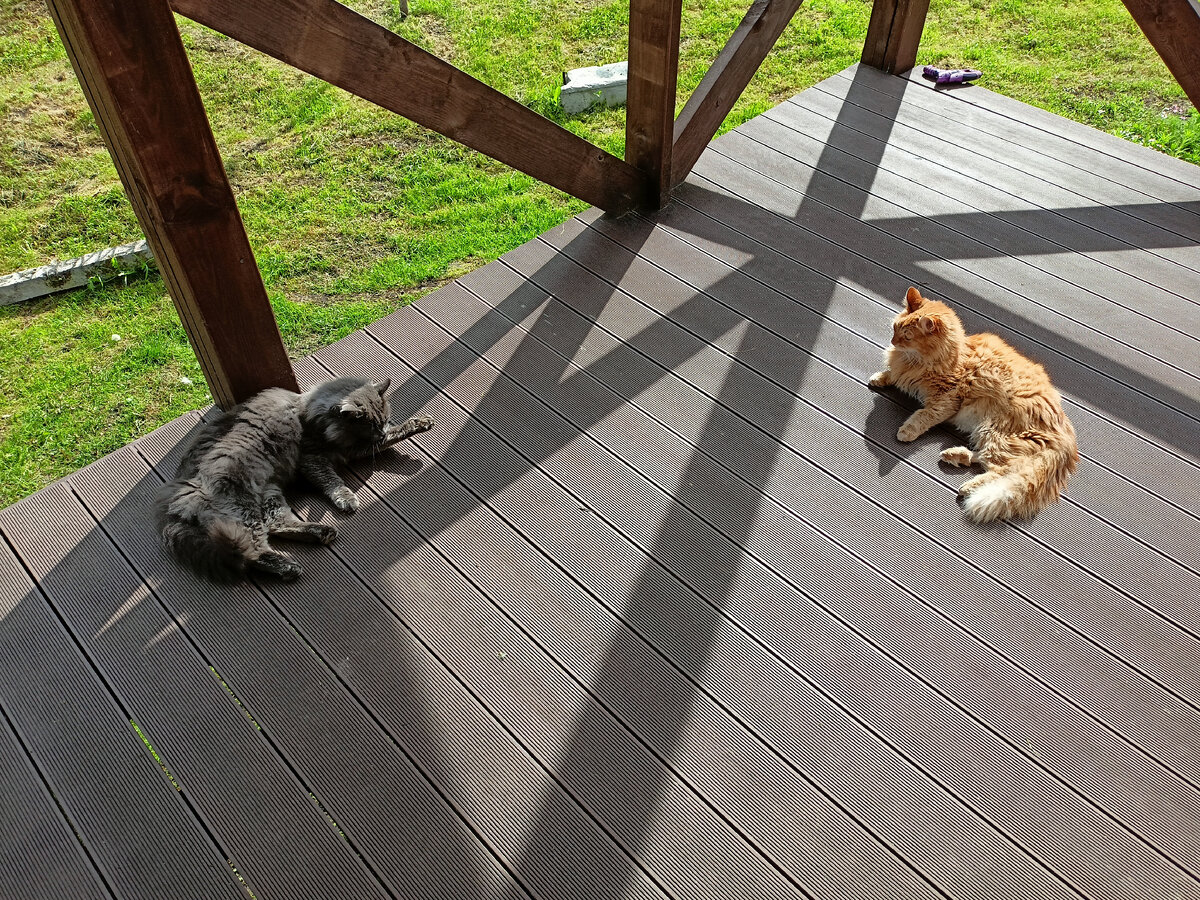 Это не моя семья!