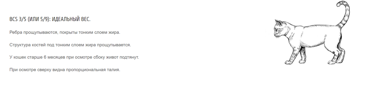 Информация с сайта vetdietolog.ru