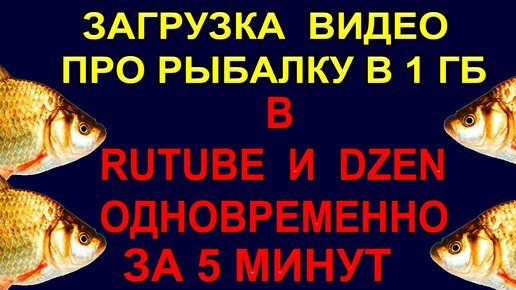 Видео о рыбалке. Страница 