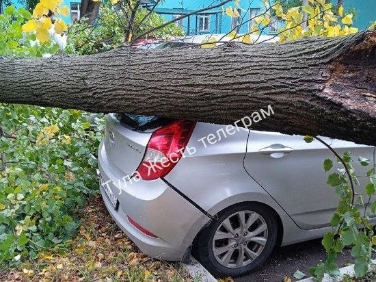     фото: Телеграм-канал "Тула Жесть"