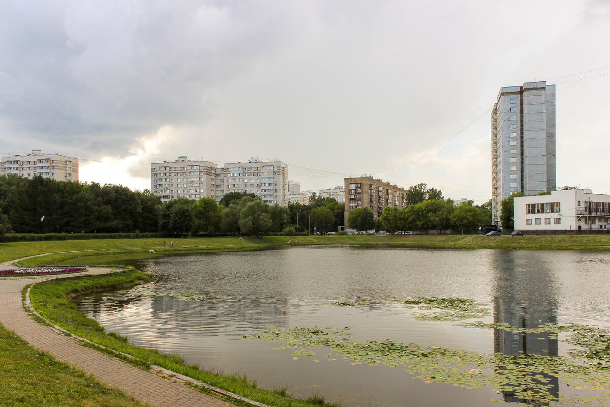 Еще один парк с прудом благоустроили на северо-востоке Москвы. Появилось  новое чудное место для отдыха | Самый главный путешественник | Дзен