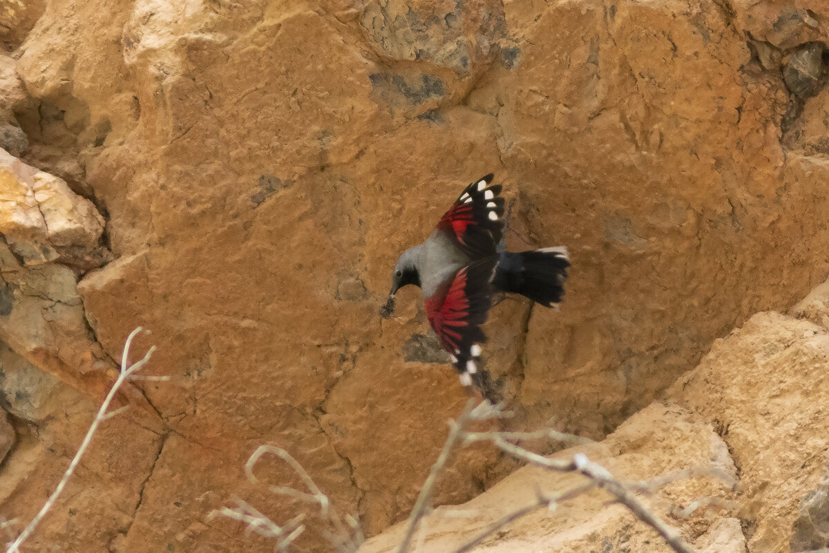 Фото автора. Киргизия, июнь2022