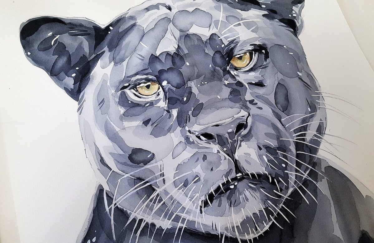 Фото из интернета