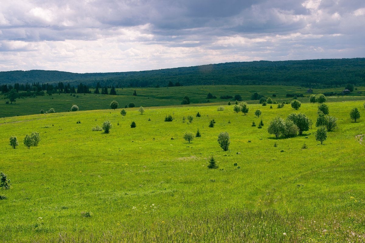 Российские равнины