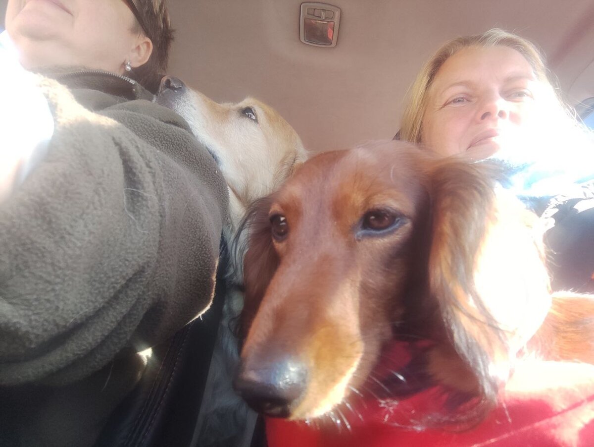 В тесноте, да не в Биде. 