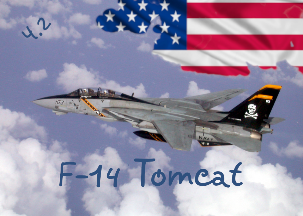 F-14 Tomcat по сути напоминает Су-27 Flanker. Такая же сложная судьба