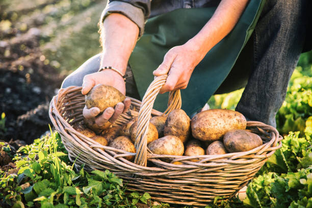 istockphoto.com 