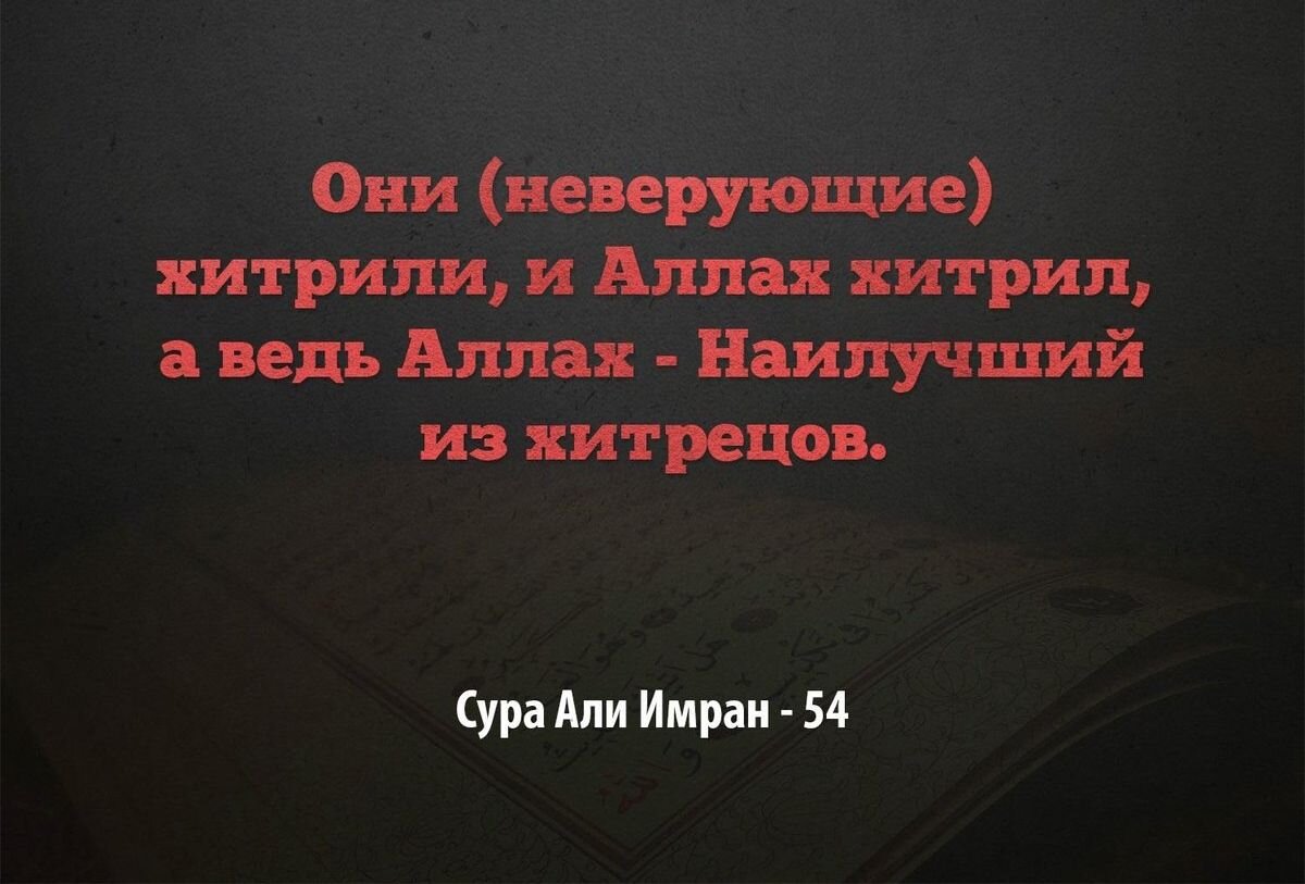 Картина взята с интернета