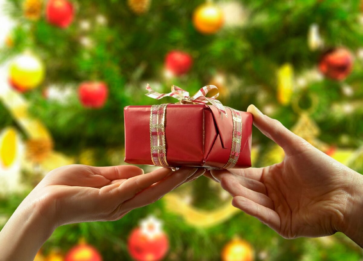 Фото из открытых ресурсов интернета