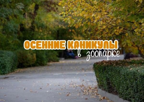 Каникулы в ростове на дону. Осень заморозки Ростов.