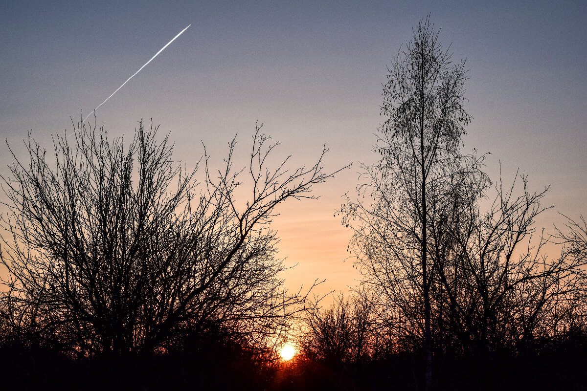  Закат сфотографирован в яблоневом саду в Макаровском поселении Лаишевского р-на, республика Тататрстан