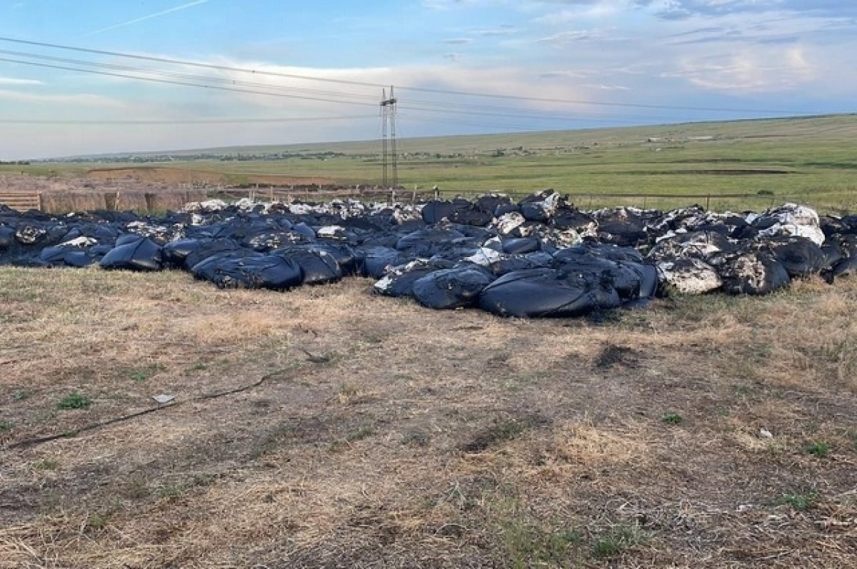    Ставрополец устроил свалку у реки и отравил почву на 78,8 млн рублей