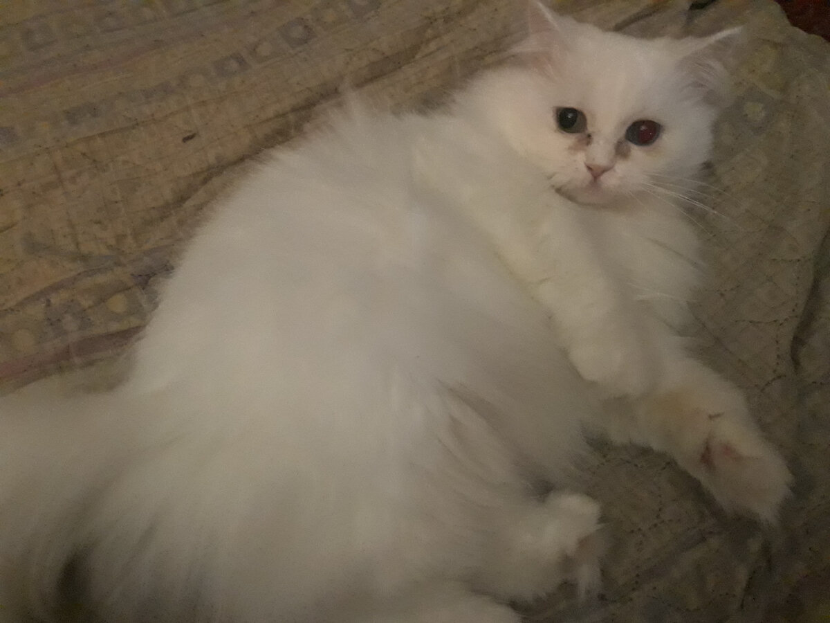 У нашего облачка опять глазки текут :(