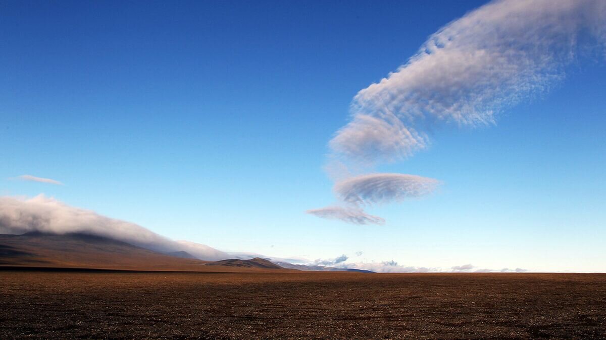    Военные экологи ТОФ с Камчатки закончили очистку острова Врангеля - вывезли 330 т мусора© РИА Новости / Вера Костамо