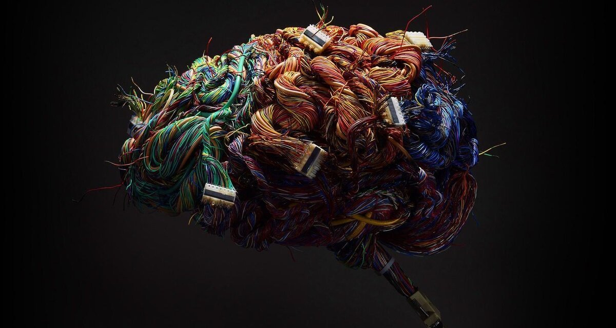     Почему во сне сгорает наш жир, а некоторые люди начинают ходить: факты о том, что происходит с нами ночью