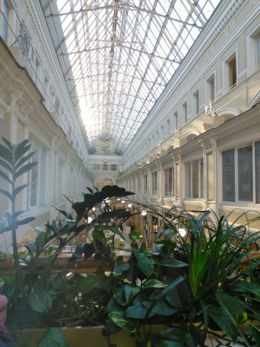 Вид с мостика