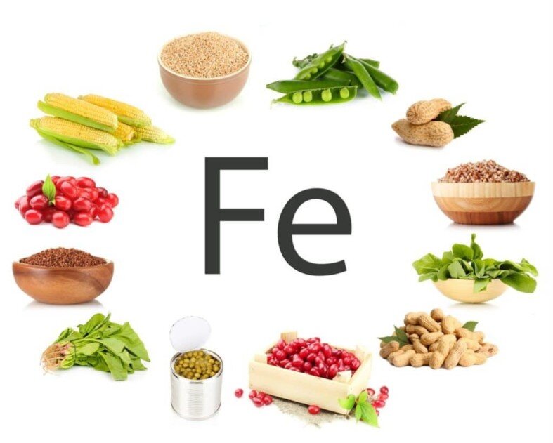 Железо - в чем его польза? Источники, свойства и потребности в железе