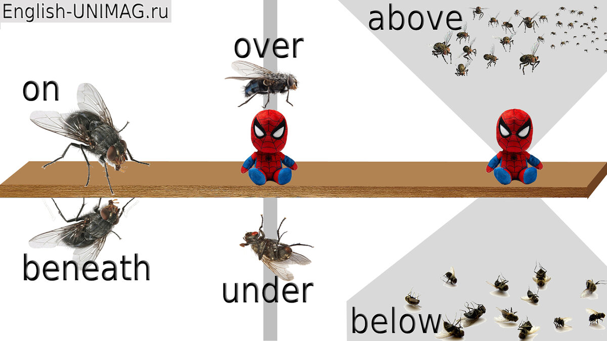 английские предлоги места on, over, above, beneath, under, below