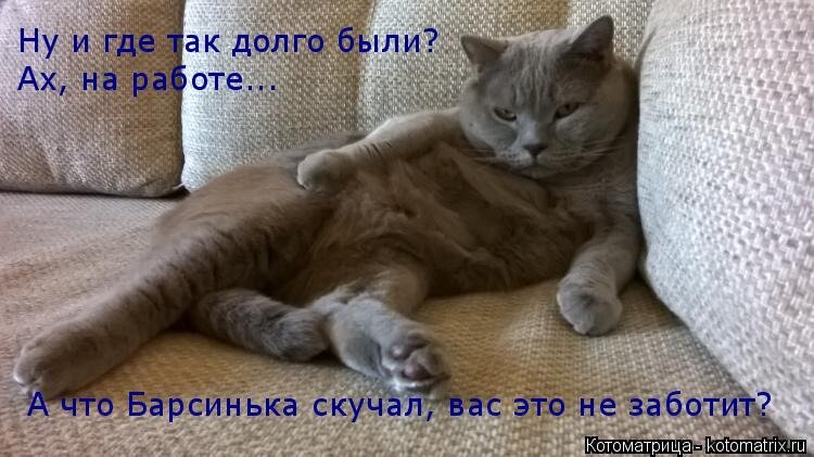 Ты опять уходишь на работу скажи честно у тебя там другой кот картинка