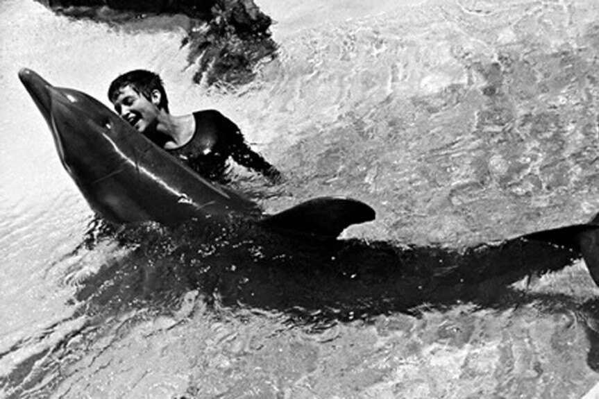     «Худший эксперимент в мире»: как проект NASA по обучению дельфинов закончился межвидовой близостью и скандалом