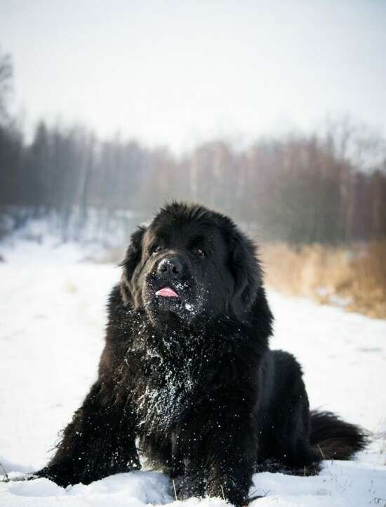 Фото из интернета.