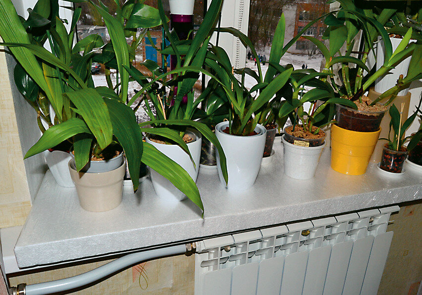    Закрыть весь подоконник пенопластовым листом - это отличный выход! Фото Елены Белинской